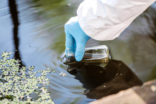 Water Quality Testing
