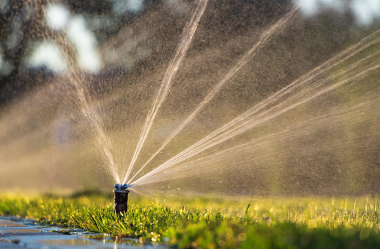 Automatic Drip Irrigation Installation