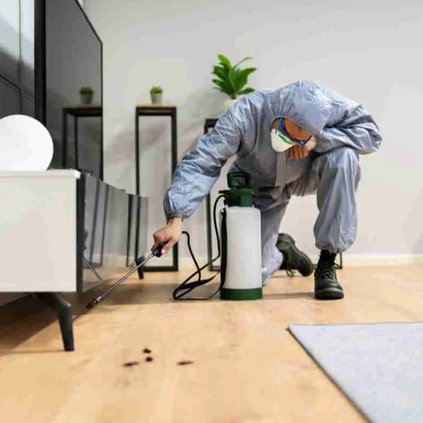 Cockroach Control