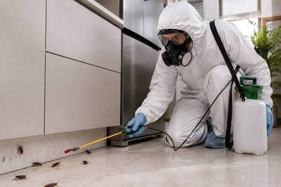 Pest Control Services